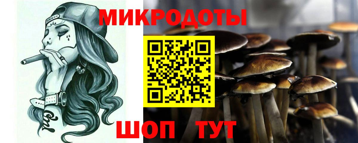 Кандалакша  Псилоцибиновые грибы Magic Shrooms  Вход с VPN  продажа наркотиков  Псилоцибиновые грибы мухоморы 